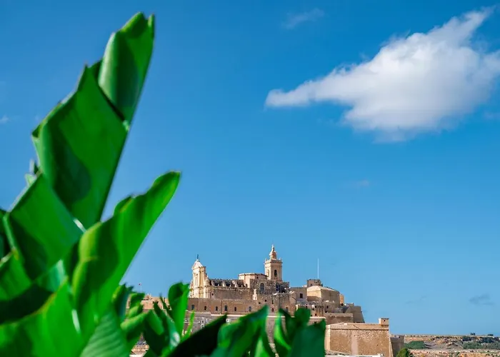 Townhouse17 Boutique